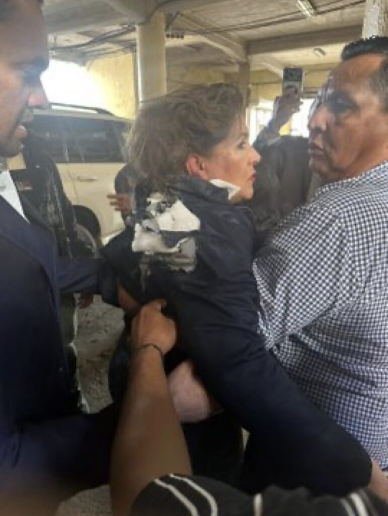 ATENTADO EN EL CONGRESO: LANZAN ARTEFACTO EXPLOSIVO CONTRA DIPUTADA OPOSITORA EN HONDURAS EN MEDIO DE TENSIÓN POSTELECTORAL